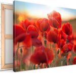 canvas photo product print