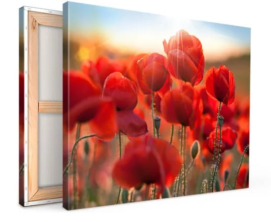 canvas photo product print