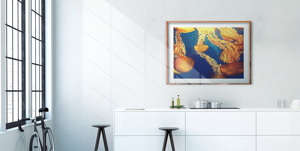 exhibition print hanging on a wall in a frame